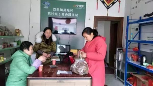 CCTV一7台“乡土”栏目组记者专访：吴畈村电商服务站负责人的致富路